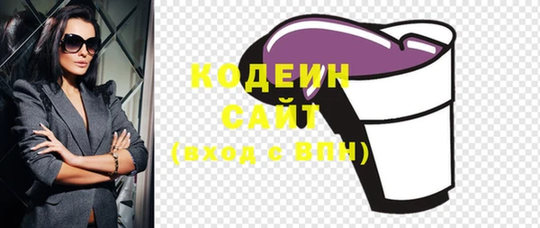 шишки Осинники