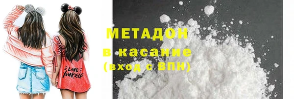 шишки Осинники