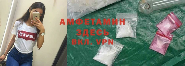 шишки Осинники