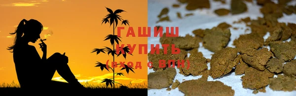 шишки Осинники