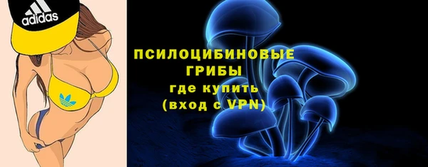 шишки Осинники