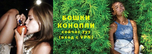 шишки Осинники