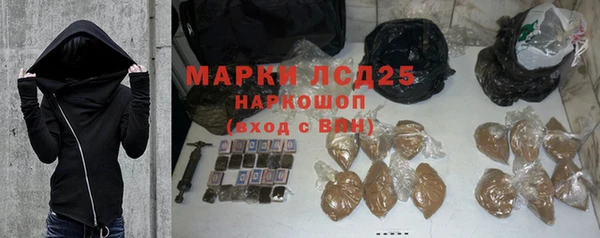 шишки Осинники