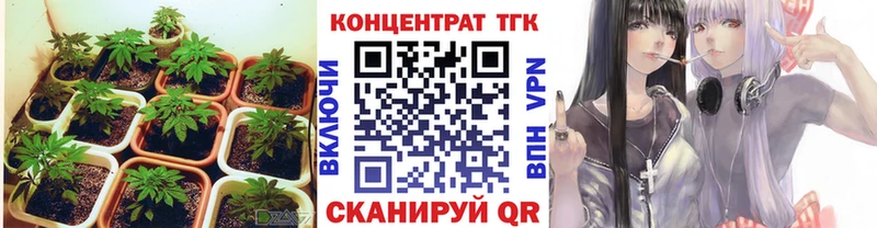 Купить где  Свободный  Дистиллят ТГК THC oil 